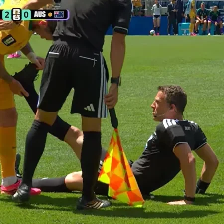 felix zwayer arbitro de estados unidos e australia caiu no gramado